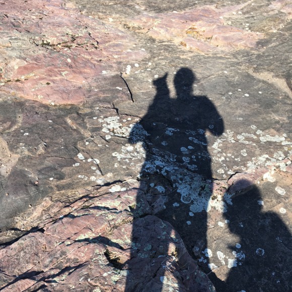 Meet your Posher, Dana - Picture 2 of 4